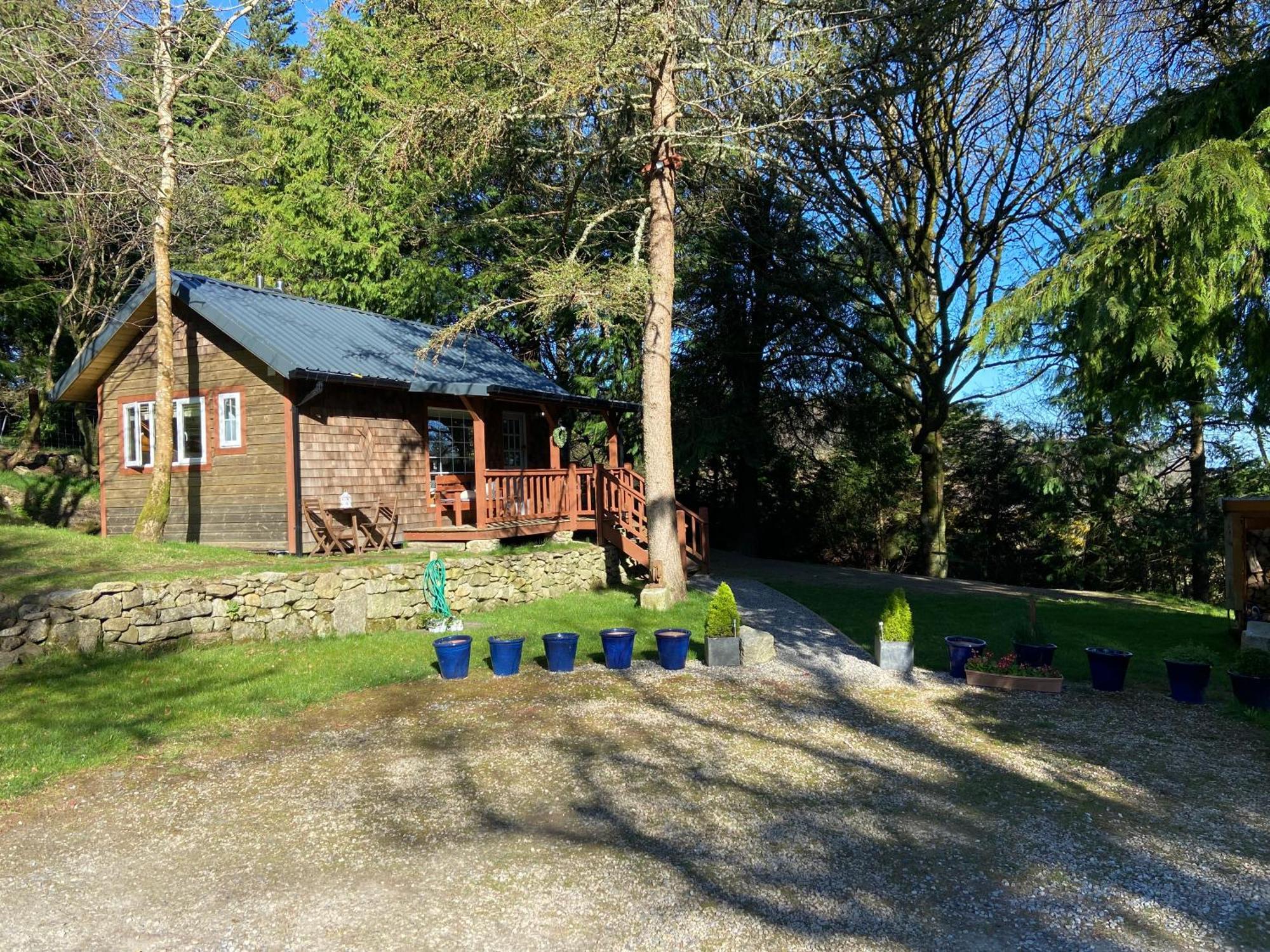 Willow Lodge Dublin Exterior photo